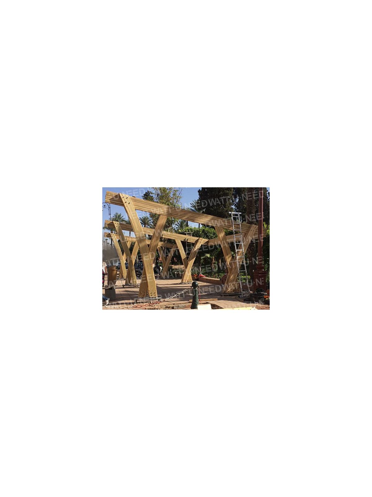 Structure en bois pour 2 voitures