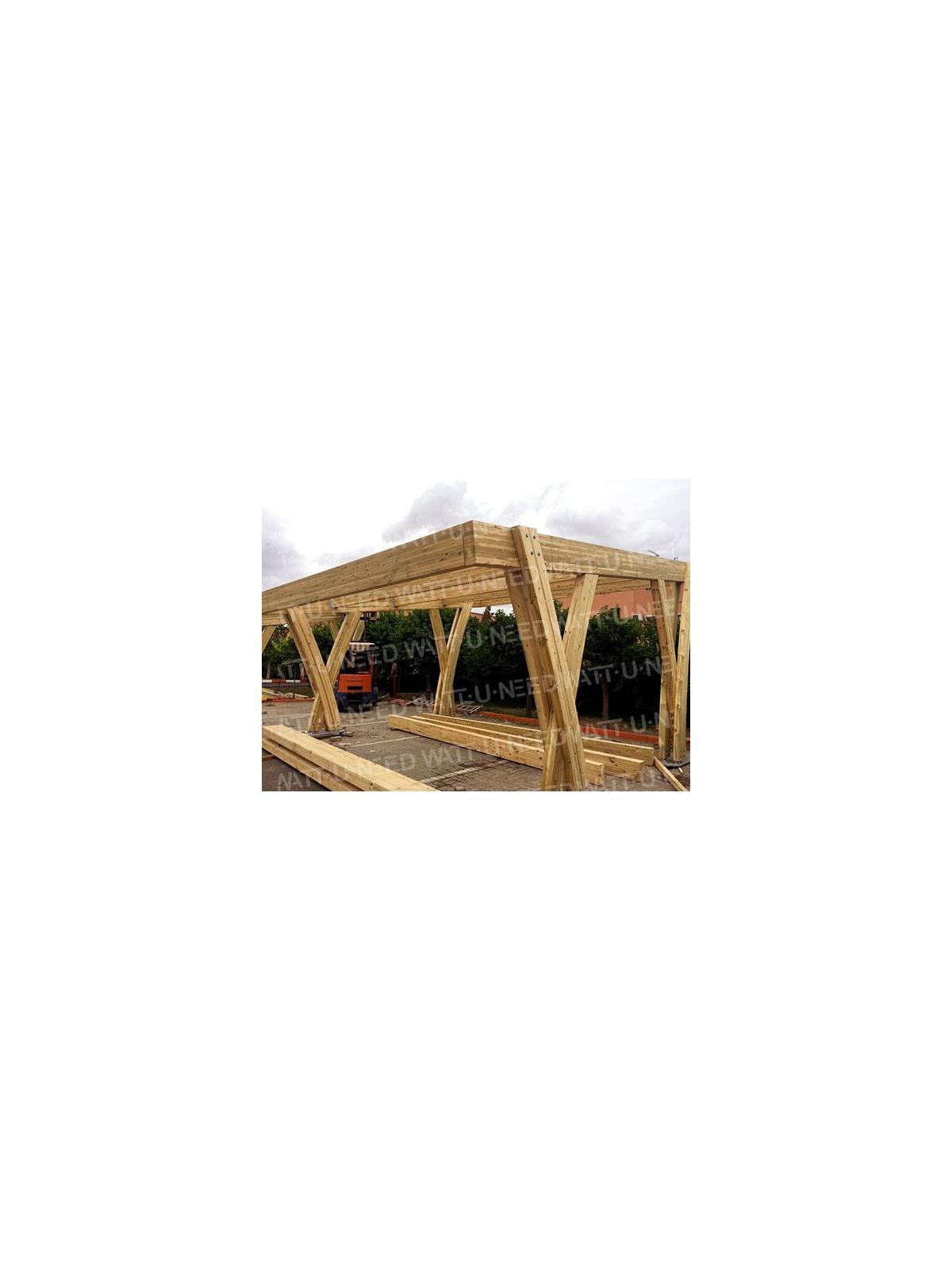 Structure en bois pour 2 voitures