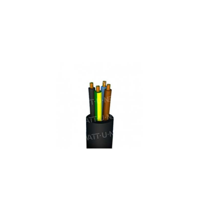 Câble H07RN-F ECA 4G6 450/750V  - 1m
