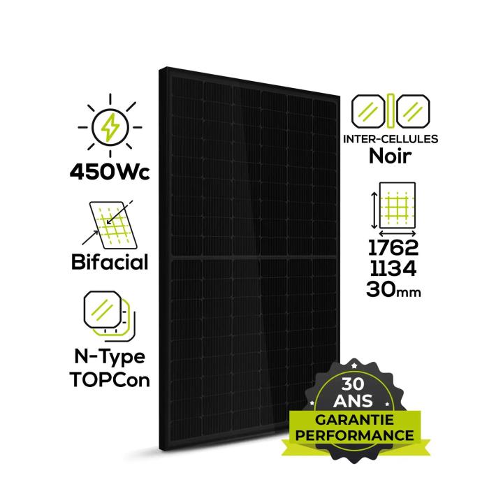 Leapton N-Type 450Wc TOPCon bifacial
