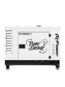 Groupe électrogène ITC Power bi-tension 16,3kVa Diesel 230V/400V Insonorisé DG16000SE-T