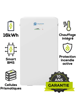 Batterie Lithium LiFePO4 Leapton EL-A16 16kWh 314Ah – IP65 & Chauffage Intégré