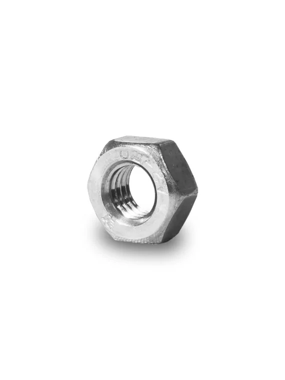 Tuerca hexagonal M10 100 piezas