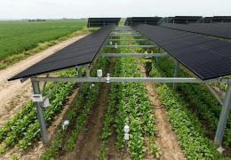 Performance agrivoltaïsme : l’essentiel IEA PVPS