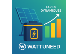 Dimensionierung der Solarbatterie 2025: Vollständiger Leitfaden mit dynamischen Tarifen