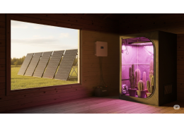Culture cactus 100% autonome : Solutions solaires Wattuneed